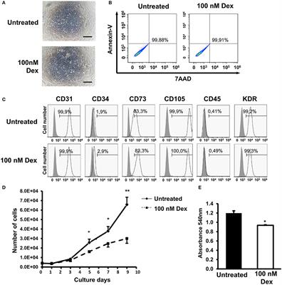 Glucocorticoid Impaired the Wound Healing Ability of Endothelial Progenitor Cells by Reducing the Expression of CXCR4 in the PGE2 Pathway